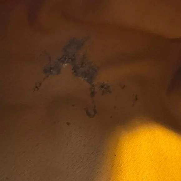 vintage Celine Macadam barrel bag w/ inside stain - Picture 6 of 12